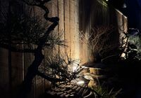 IMG_0266