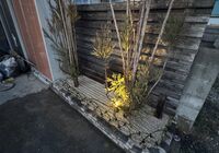 IMG_0161