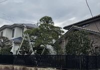 IMG_4538_Original