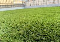 IMG_9480_Original